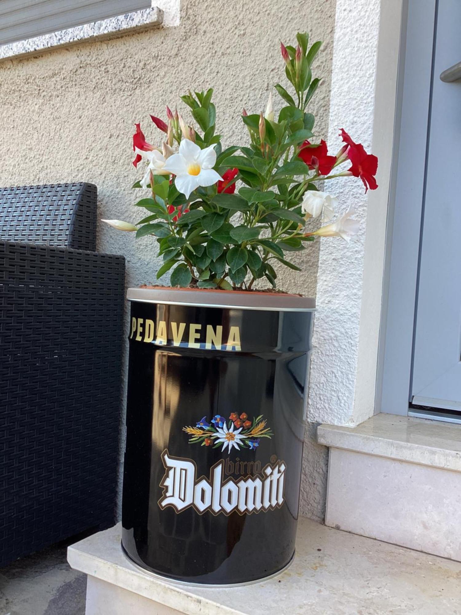 La Stella Delle Dolomiti Apartment Pedavena Ngoại thất bức ảnh